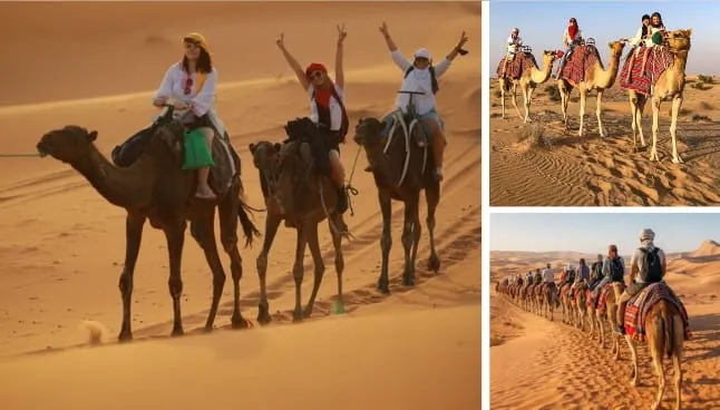 Camel Ride Desert Safari Dubai at sunset with desert dunes